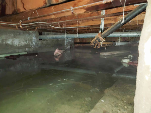 Best 24/7 water damage repair  in Trenton, OH