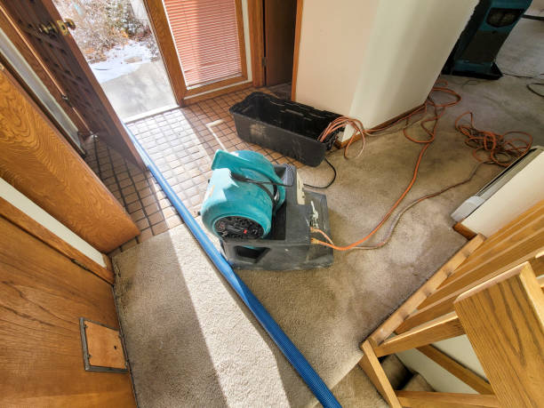 Best Basement water damage restoration  in Trenton, OH