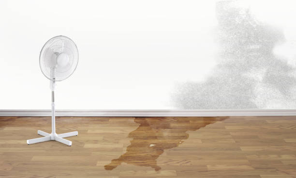  Trenton, OH Water damage restoration Pros
