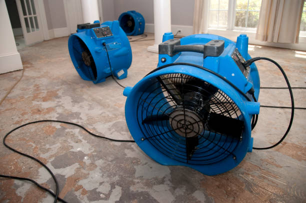 Best Fire Damage Restoration  in Trenton, OH