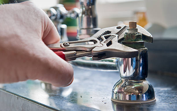 Best Mold removal after water damage  in Trenton, OH