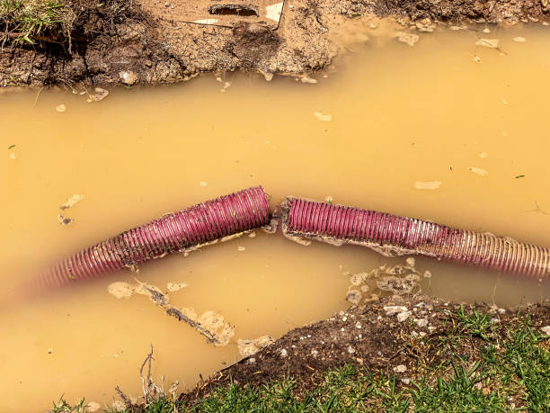 Best Sewage cleanup and water damage restoration  in Trenton, OH